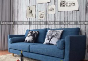 5 sai lầm trong vệ sinh các mẫu sofa nỉ