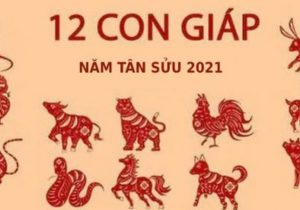 Vận hạn 12 con giáp trong năm 2021